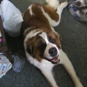 Meet your Posher, Kenneth